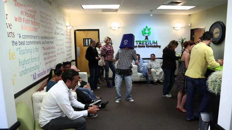 What makes Treeium a unique remodeling company