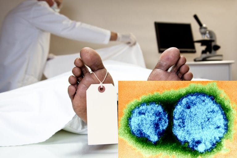 One Died and 32 Co-Passengers in bus were quarantined, Hantavirus is New Disease that Spreads from Rodents is emerging in China